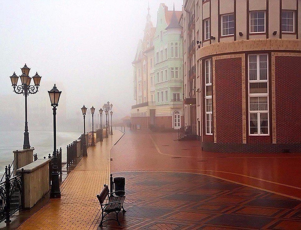 Портрет человека